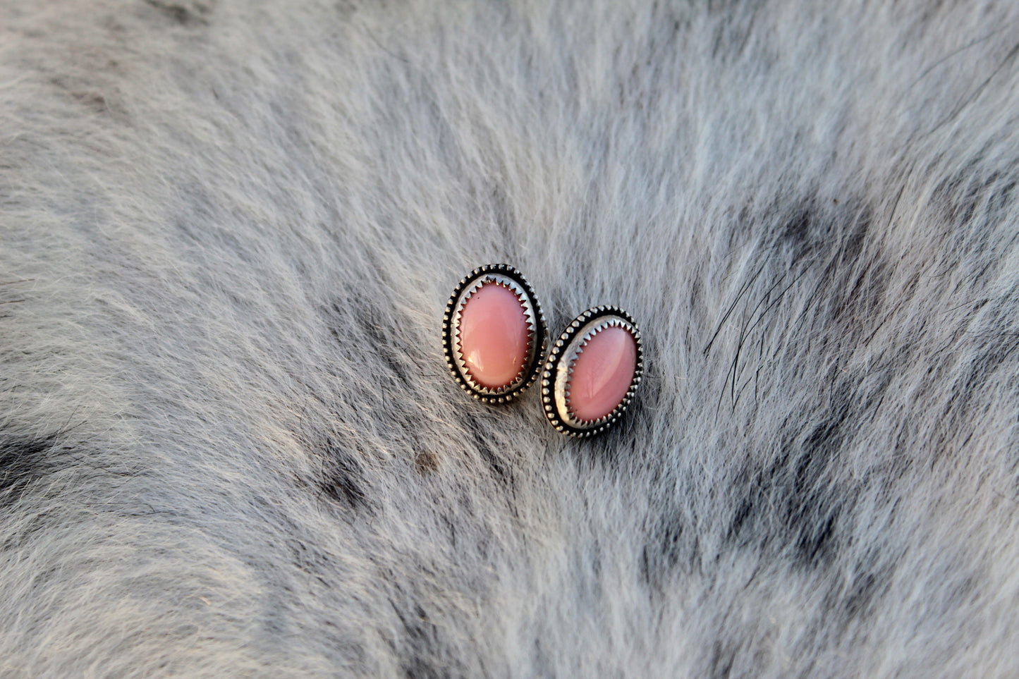 Pink Conch Studs