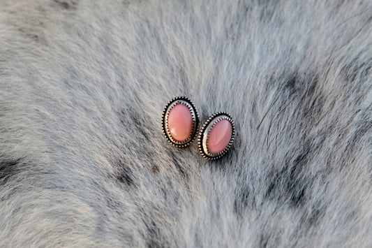 Pink Conch Studs